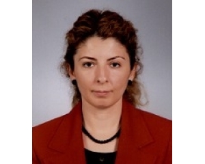 Elif Pekdemir Kara